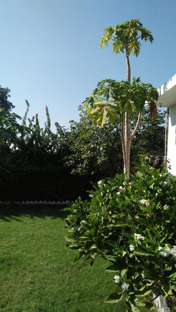 קג'ורהו Prem Home Stay מראה חיצוני תמונה